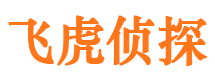 金湖侦探公司